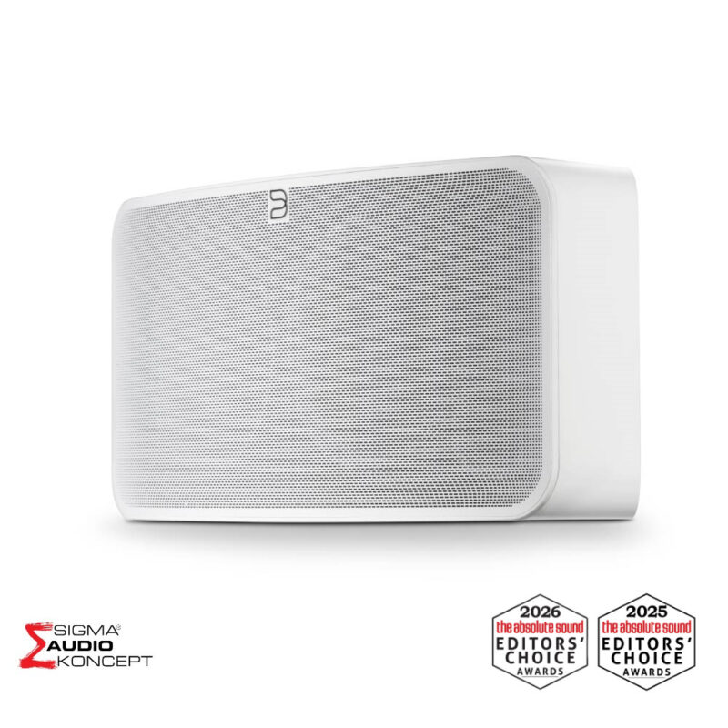 Sigma Audio Bluesound Pulse 2i