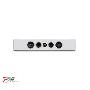 Psb Cs Pwm2