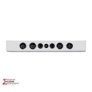 Psb Cs Pwm3