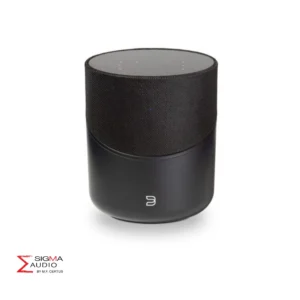 Sigma Audio Bluesound Pulse M 1