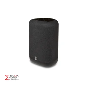 Bluesound Pulse Flex Sigma Audio