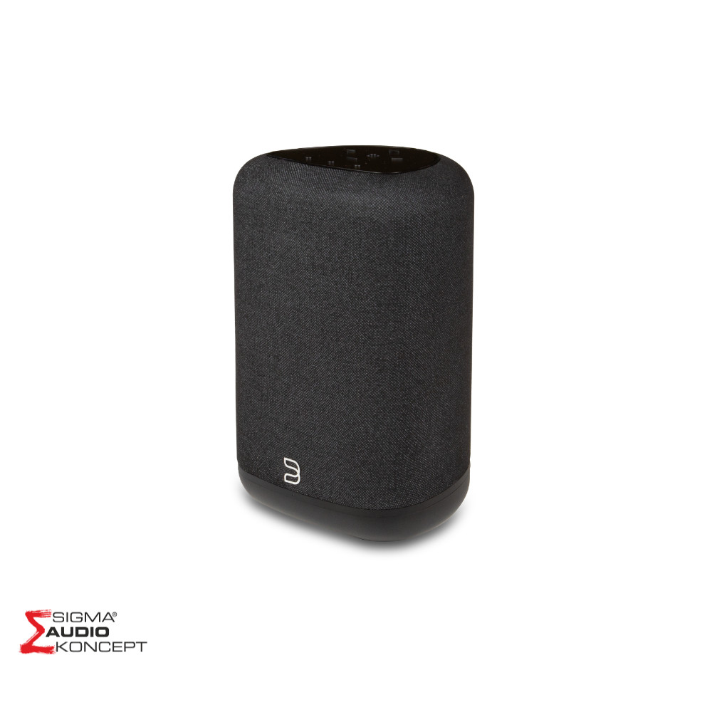 Bluesound Pulse Flex Sigma Audio